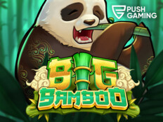 Casino panda slots4